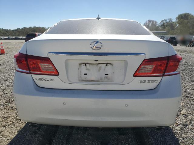 2010 LEXUS ES 350 #3277068164