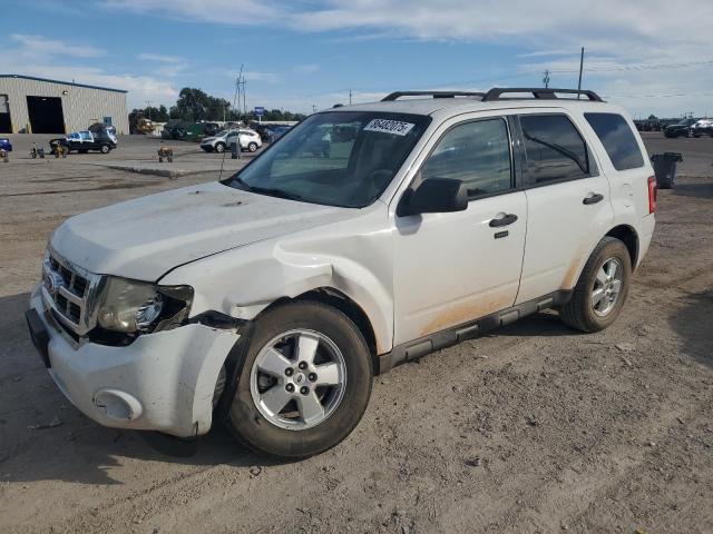 Global Auto Auctions: 2010 FORD ESCAPE XLT