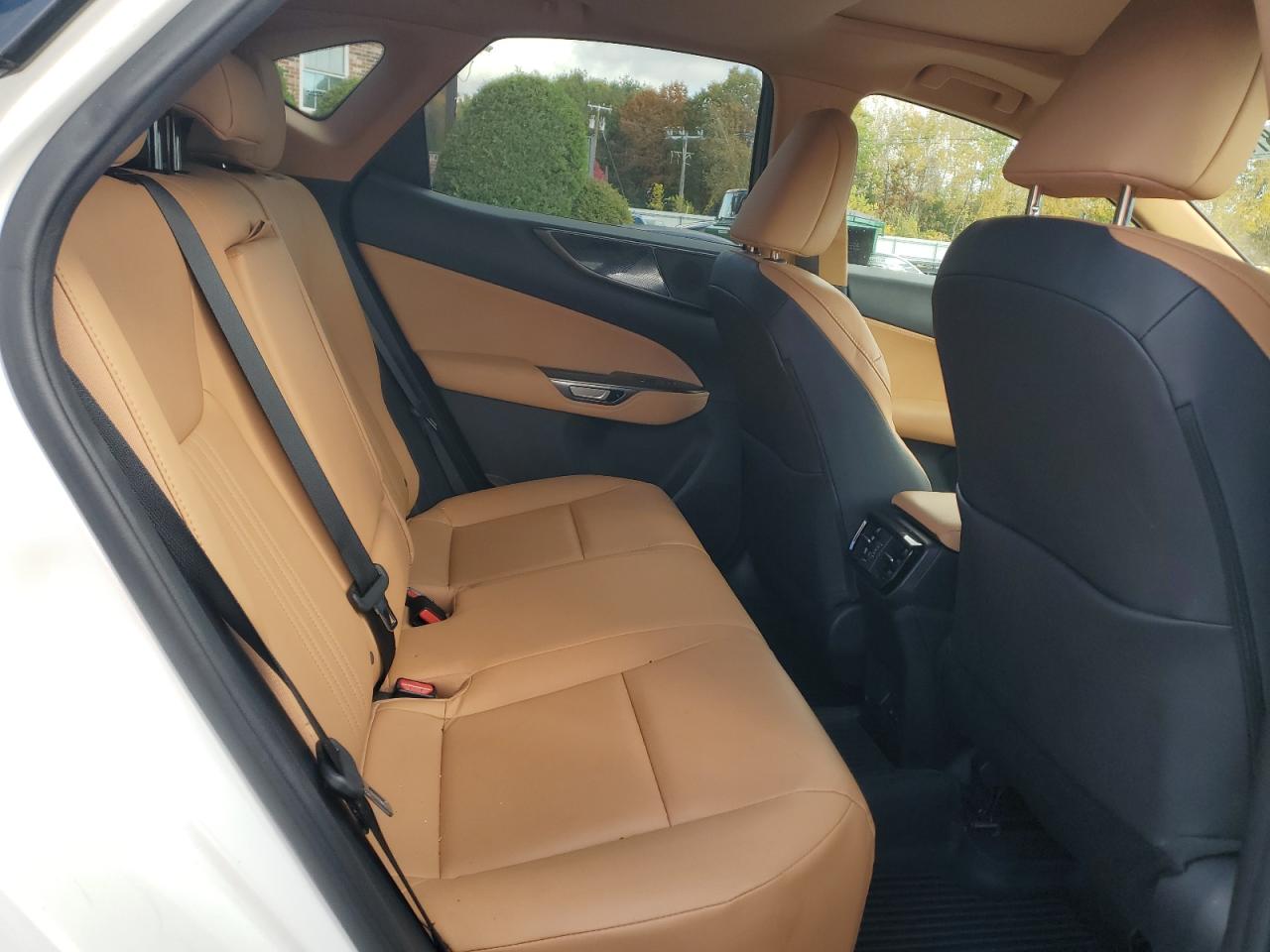 Lot #3291350146 2024 LEXUS NX 350 BAS