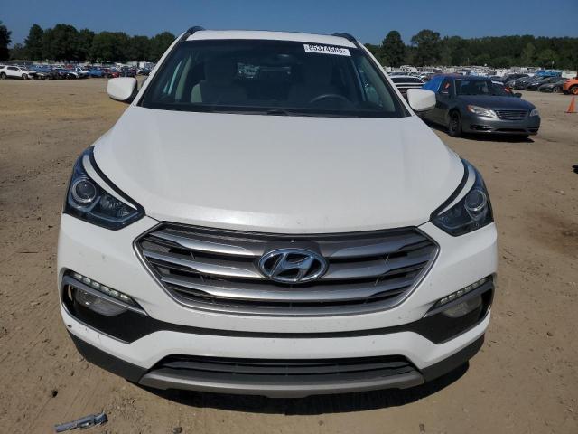 2017 HYUNDAI SANTA FE S - 5NMZU3LB0HH010615