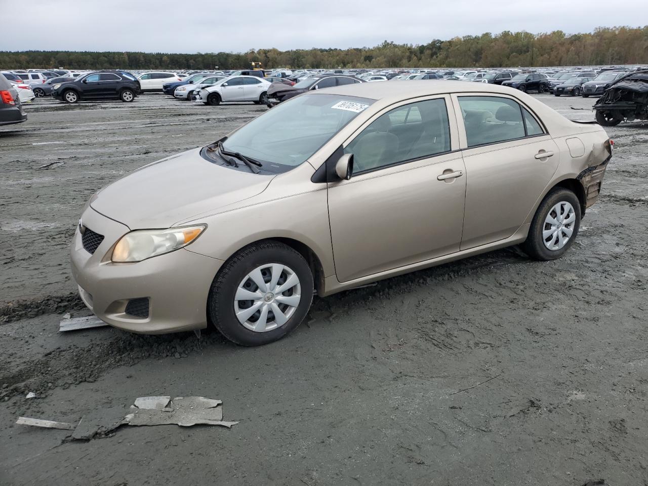 Lot #3291253975 2009 TOYOTA COROLLA BA