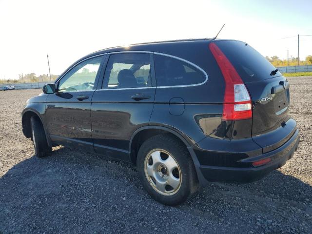 2010 HONDA CR-V LX - 5J6RE3H33AL803386