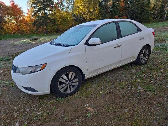 Global Auto Auctions: 2013 KIA FORTE EX