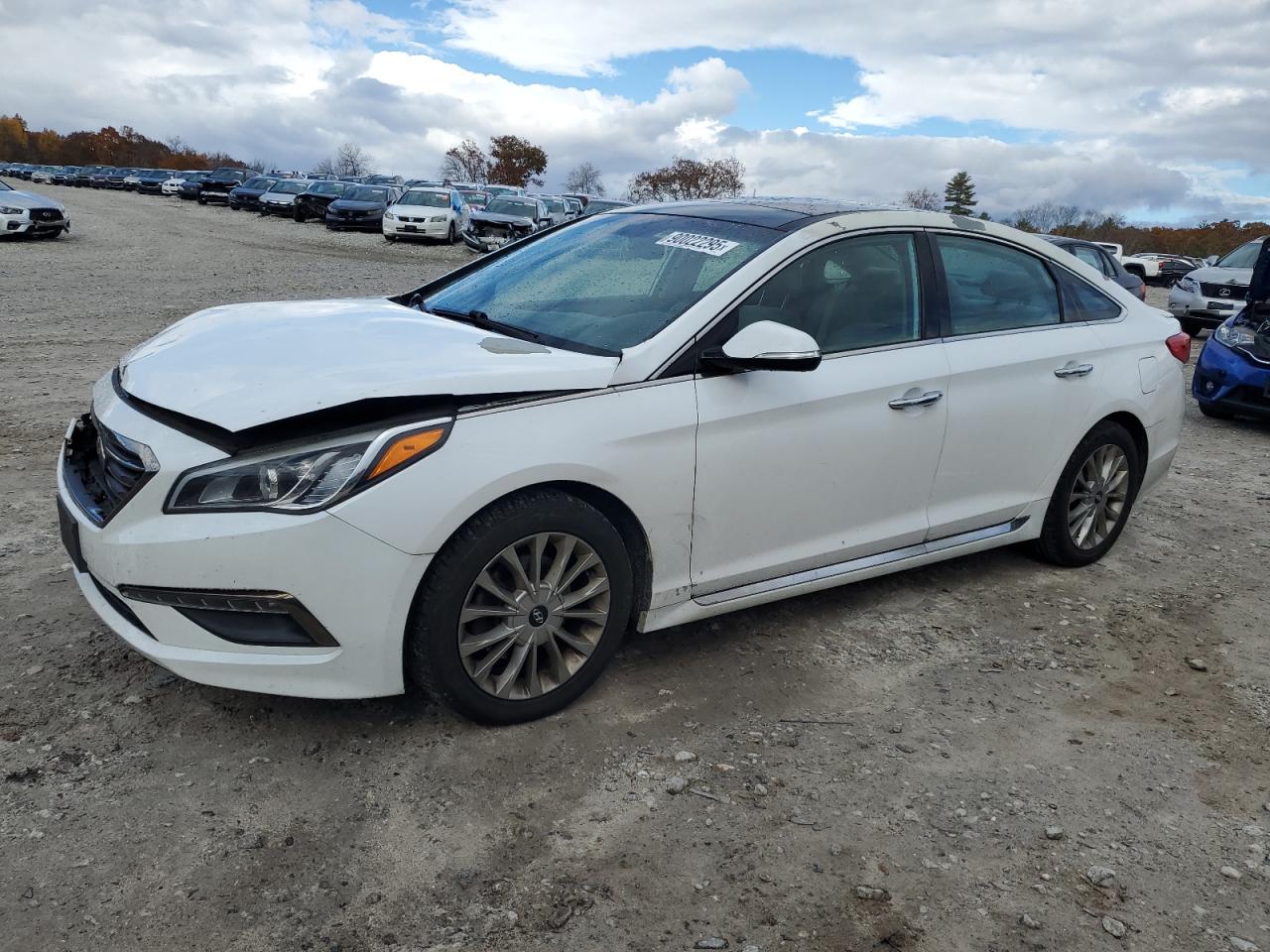 Lot #3315814346 2015 HYUNDAI SONATA SPO
