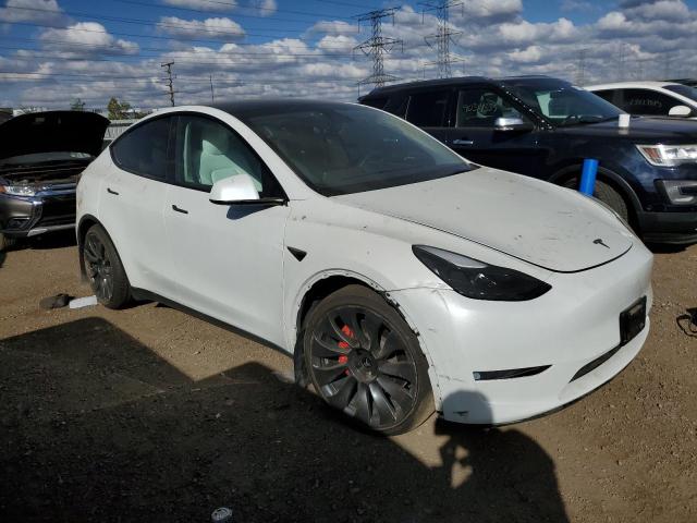 2023 TESLA MODEL Y #3297219387