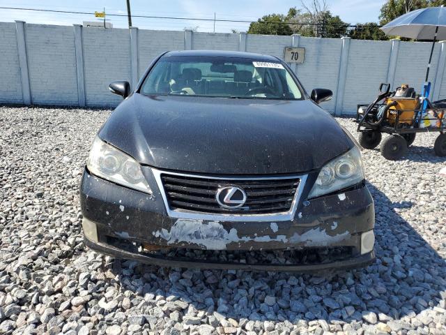 2010 LEXUS ES 350 #3302879915