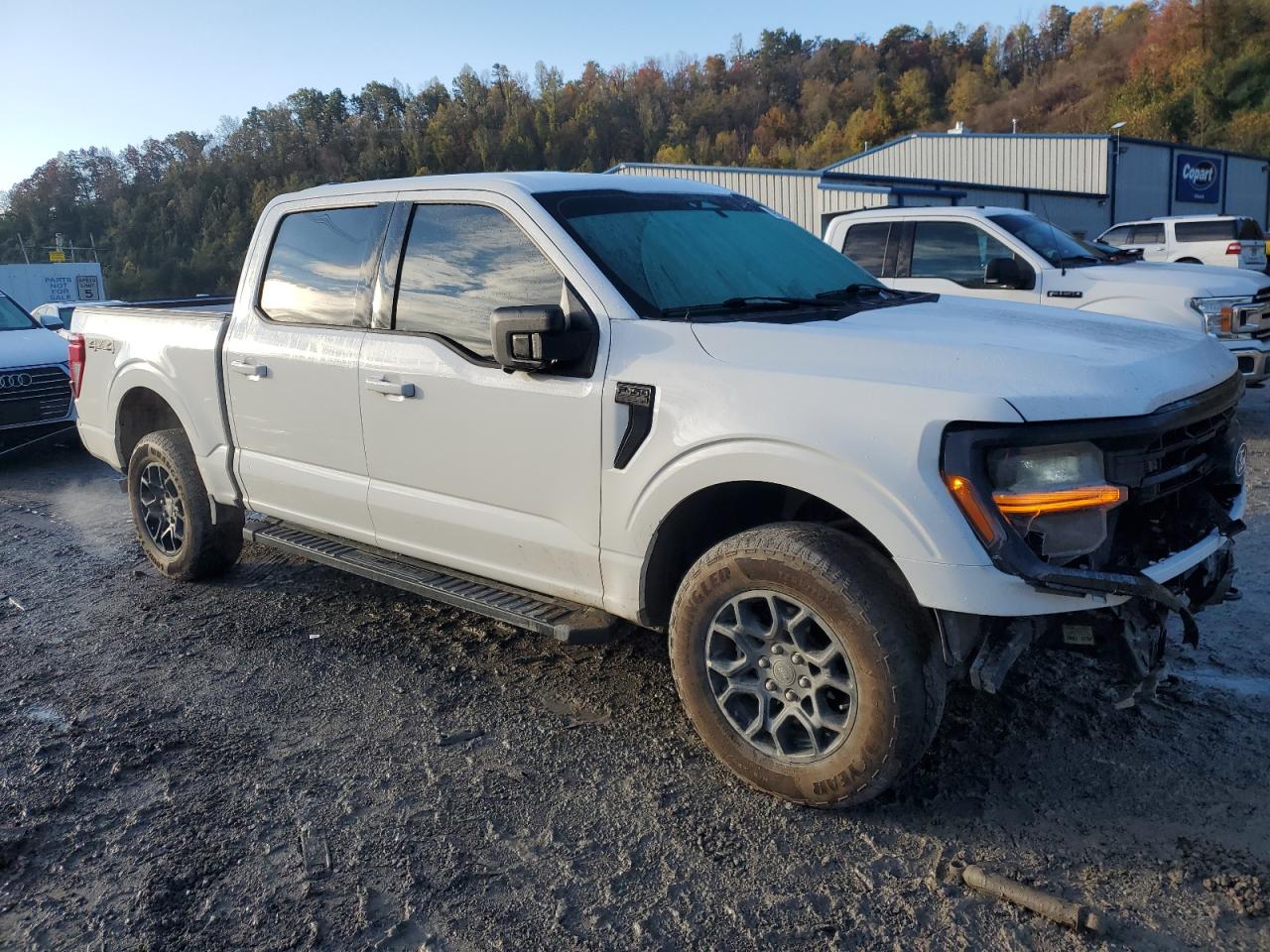 Lot #3292353305 2024 FORD F150 XLT