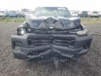Lot #3311587783 2025 CHEVROLET COLORADO