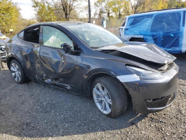 2024 TESLA MODEL Y #3284588391