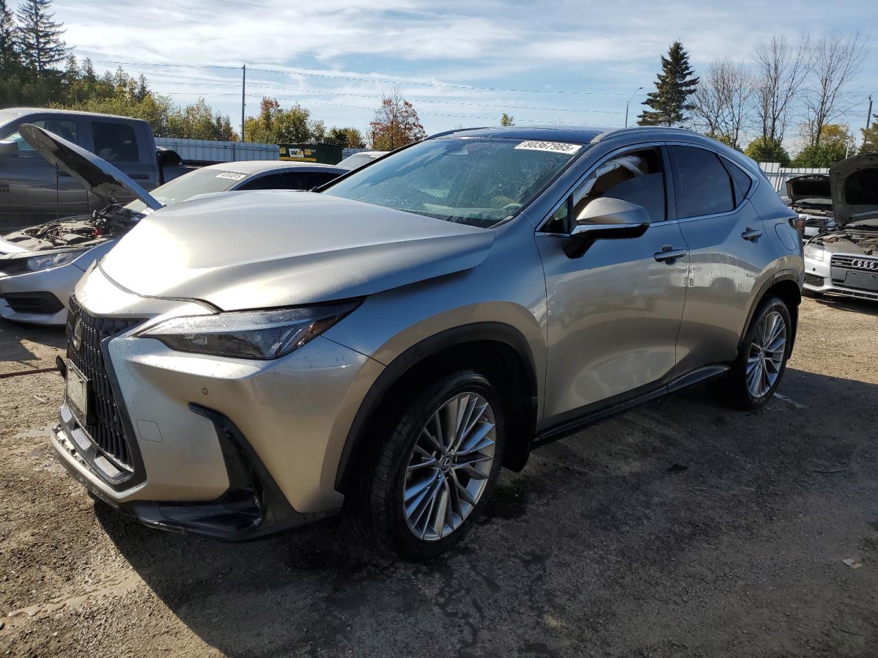 LEXUS NX 350H