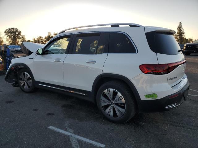 2023 MERCEDES-BENZ EQB 250+ W1N9M0CB9PN023579