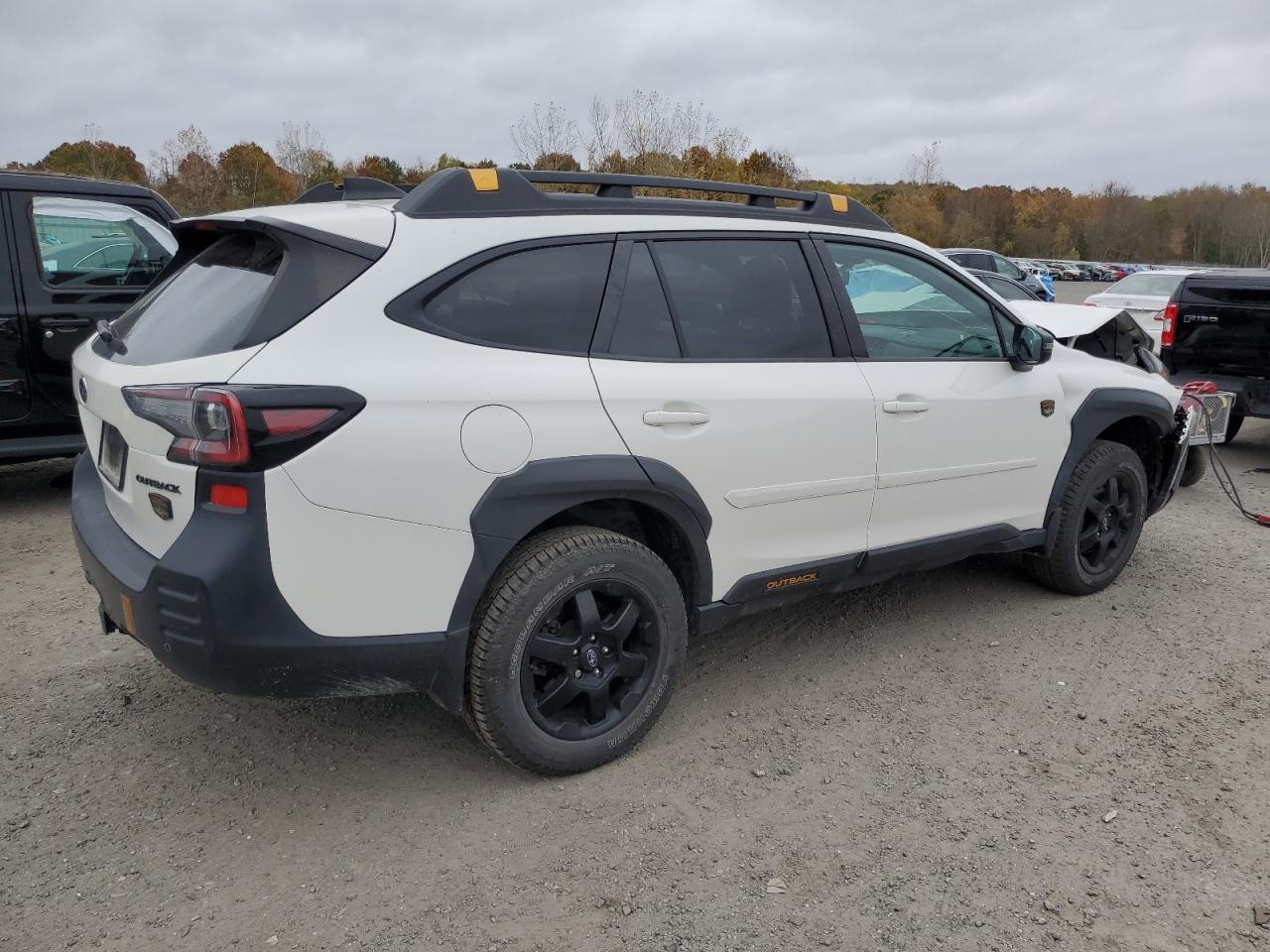 SUBARU OUTBACK WILDERNESS