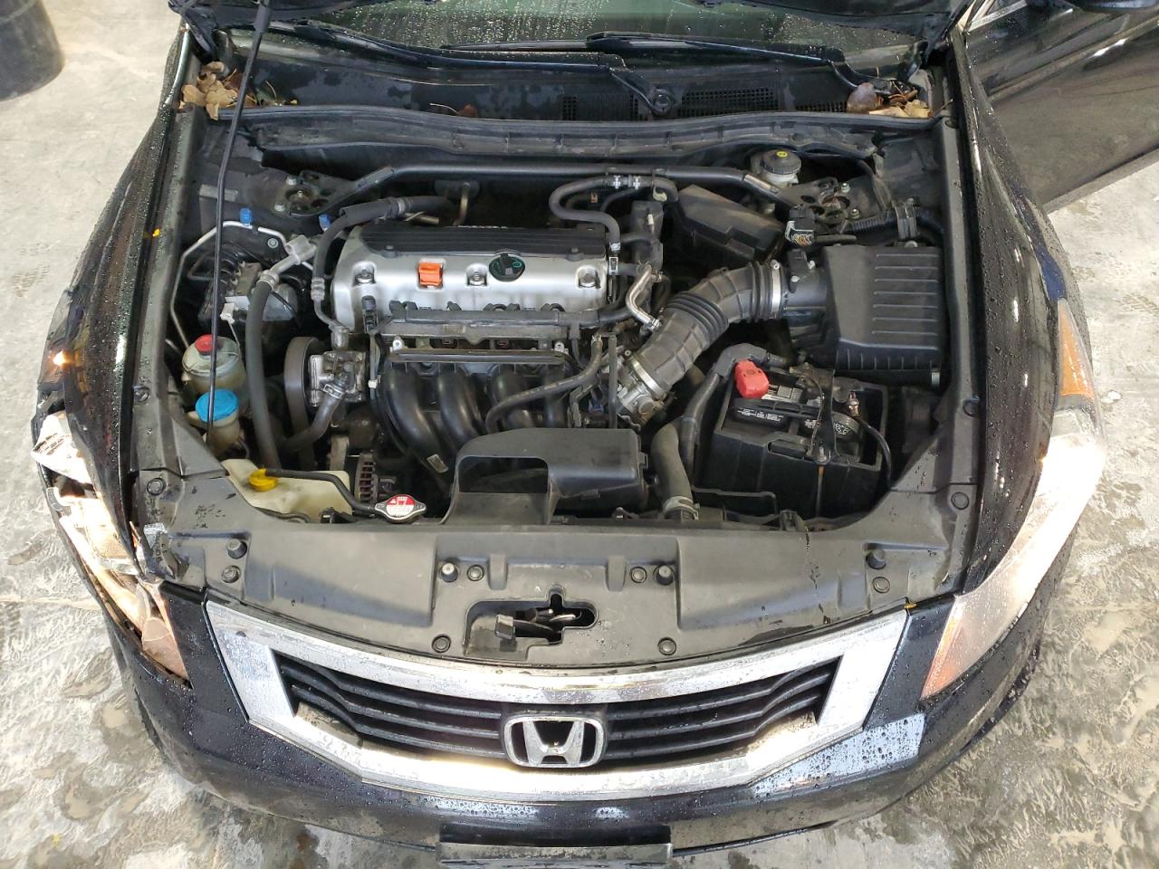 HONDA ACCORD EXL