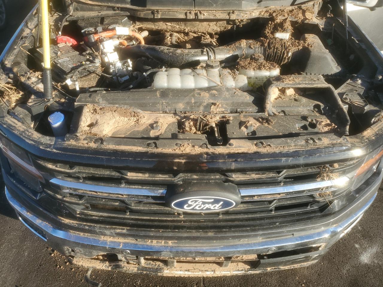 Lot #3287844108 2024 FORD F150 XLT