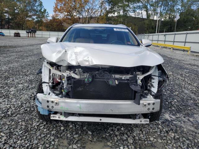 2024 LEXUS NX 350 BAS #3291350146