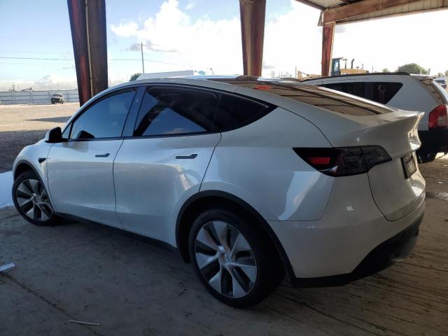2024 TESLA MODEL Y #3302878898