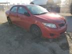 Lot #3304815541 2010 TOYOTA COROLLA BA