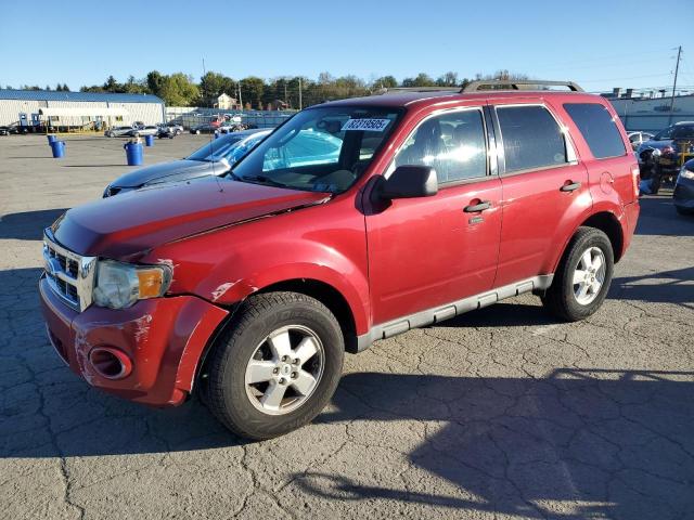 2010 FORD ESCAPE XLT - 1FMCU9DG7AKA44320