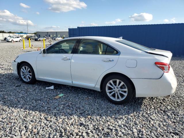 2010 LEXUS ES 350 - JTHBK1EG1A2364334