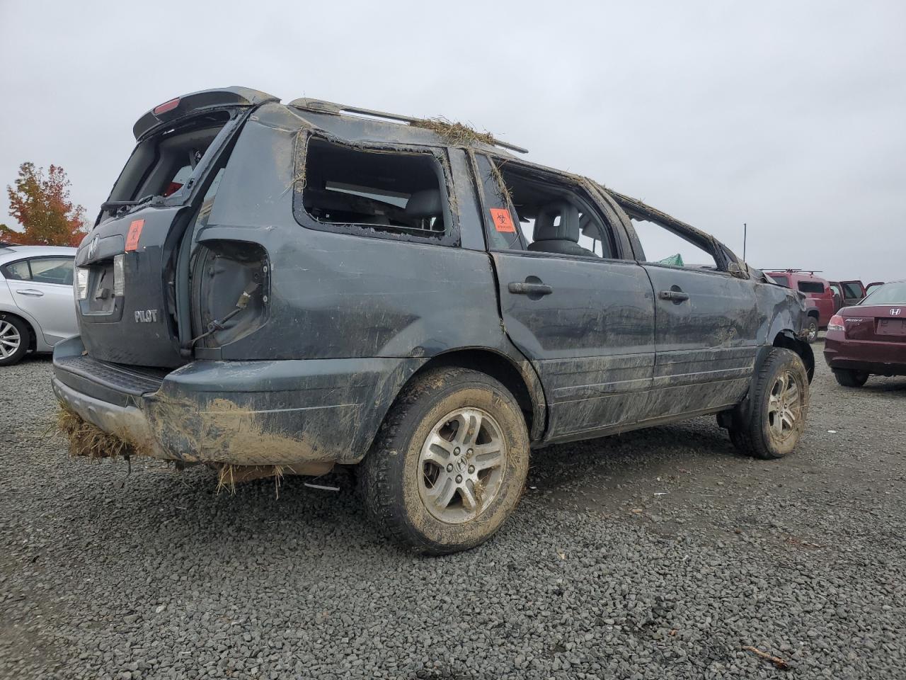 Lot #3287351987 2004 HONDA PILOT EXL