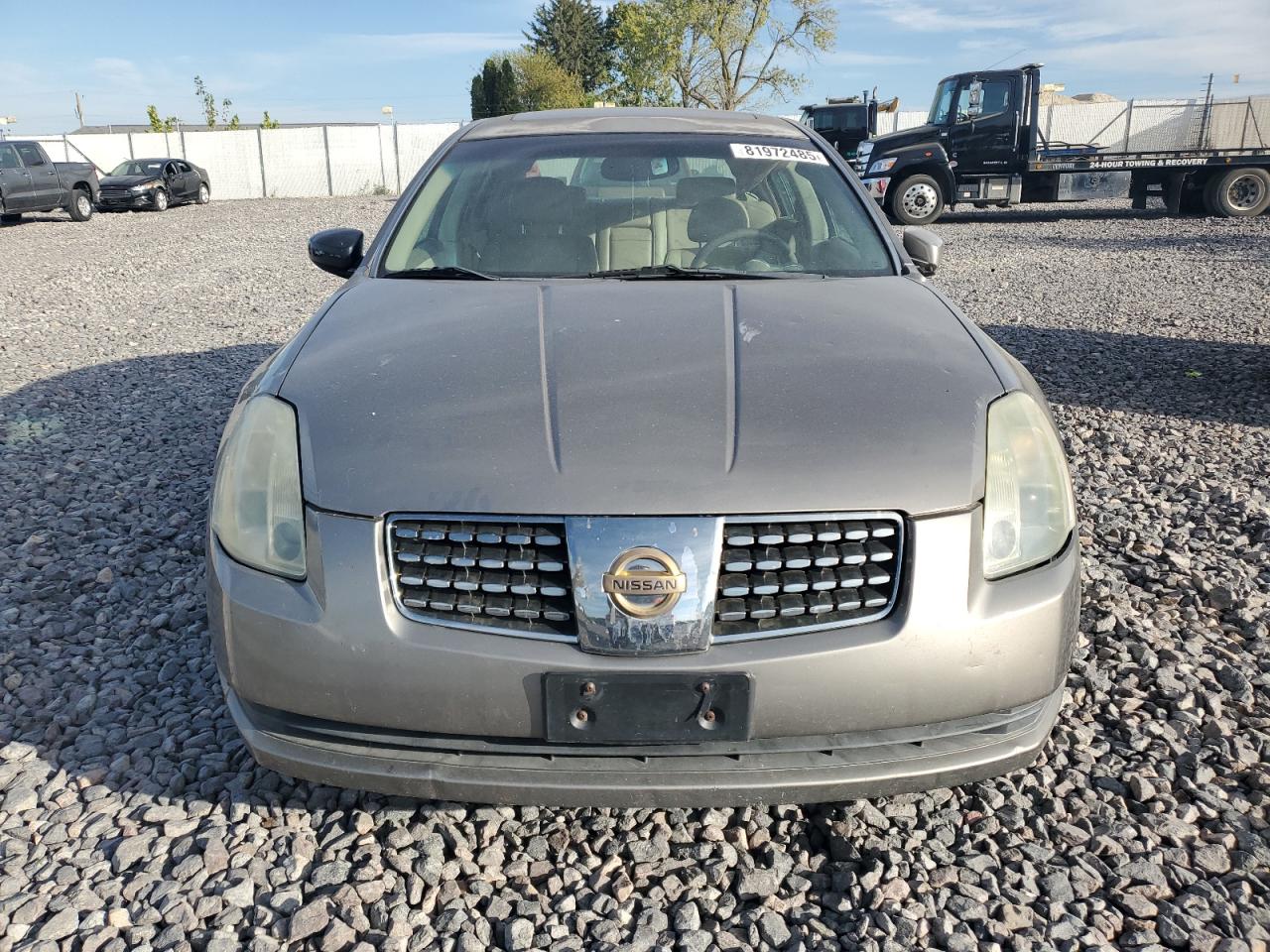Lot #3264497407 2004 NISSAN MAXIMA SE