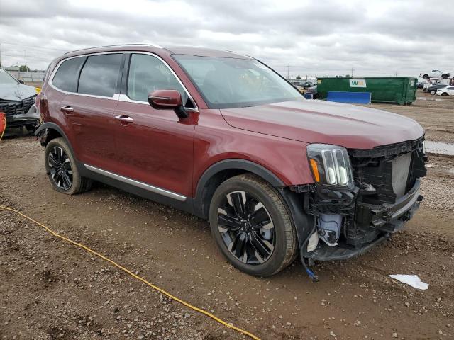 2023 KIA TELLURIDE - 5XYP5DGC5PG382294