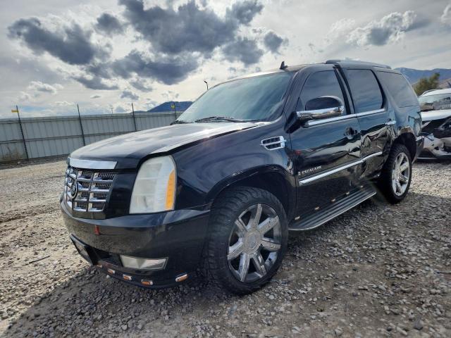 Global Auto Auctions: 2009 CADILLAC ESCALADE