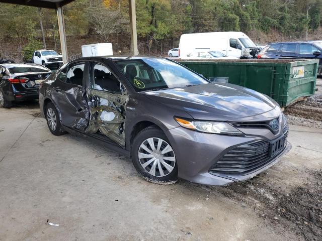 2019 TOYOTA CAMRY LE - 4T1B31HK4KU005589