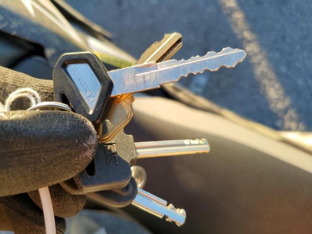 2026 KAWASAKI KLX300 F #3310703737