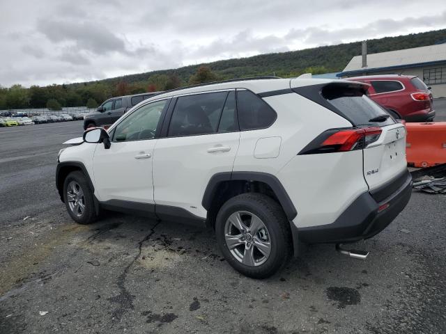 2025 TOYOTA RAV4 XLE - JTMRWRFV7SD333076
