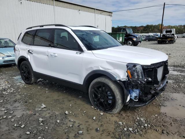 2025 KIA TELLURIDE 5XYP3DGC3SG695987