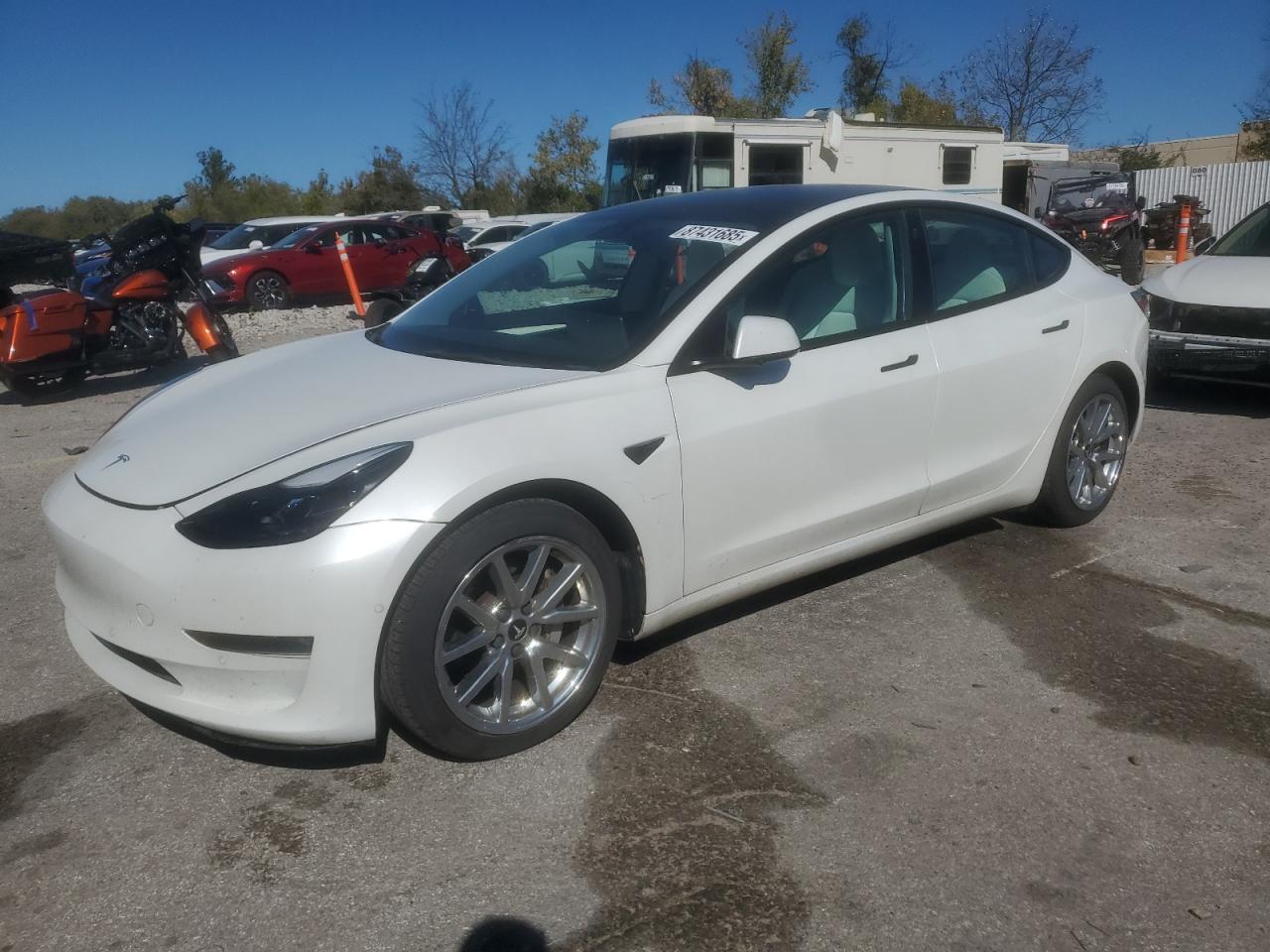 Lot #3290190224 2021 TESLA MODEL 3