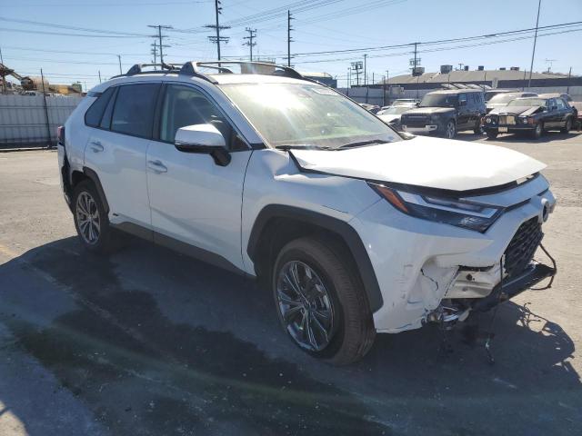 2025 TOYOTA RAV4 XLE P #3281651395