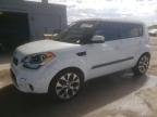 Lot #3304555458 2013 KIA SOUL +
