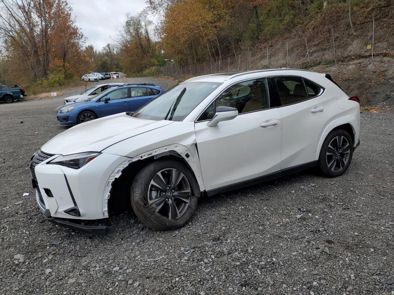 LEXUS UX 250H PREMIUM
