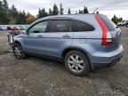 Lot #3305334322 2008 HONDA CR-V EXL
