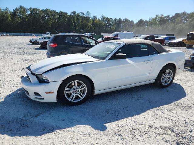 2013 FORD MUSTANG - 1ZVBP8EMXD5205085
