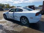 Lot #3316715405 2013 DODGE CHARGER R/
