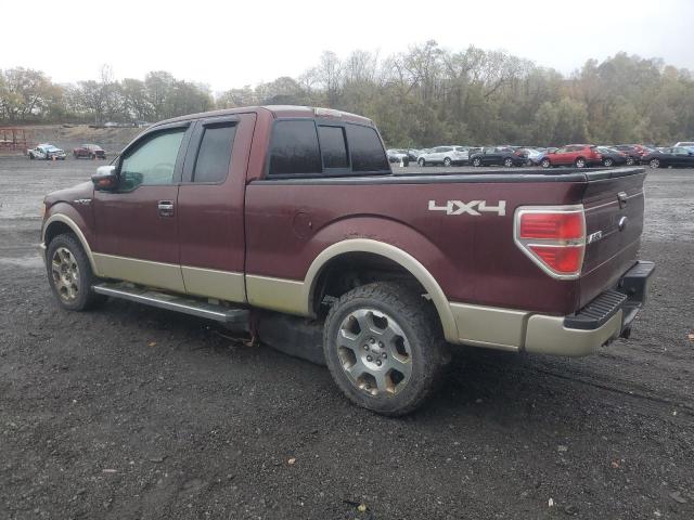 2010 FORD F-150 - 1FTFX1EV5AFA31551