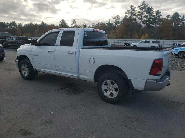 2010 DODGE RAM 1500 #3284717981