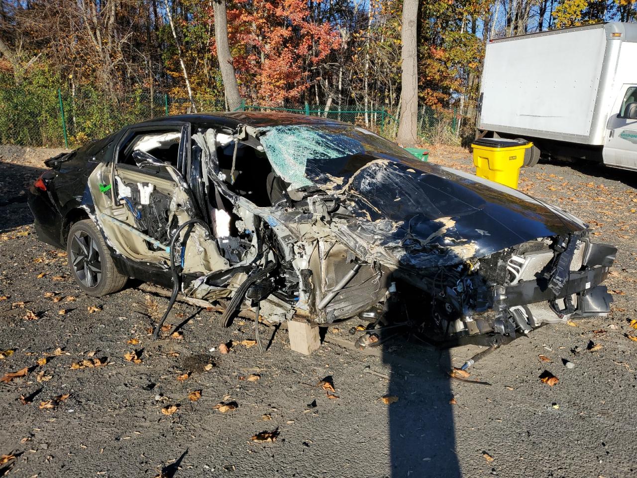 Lot #3309313996 2023 HYUNDAI ELANTRA SE