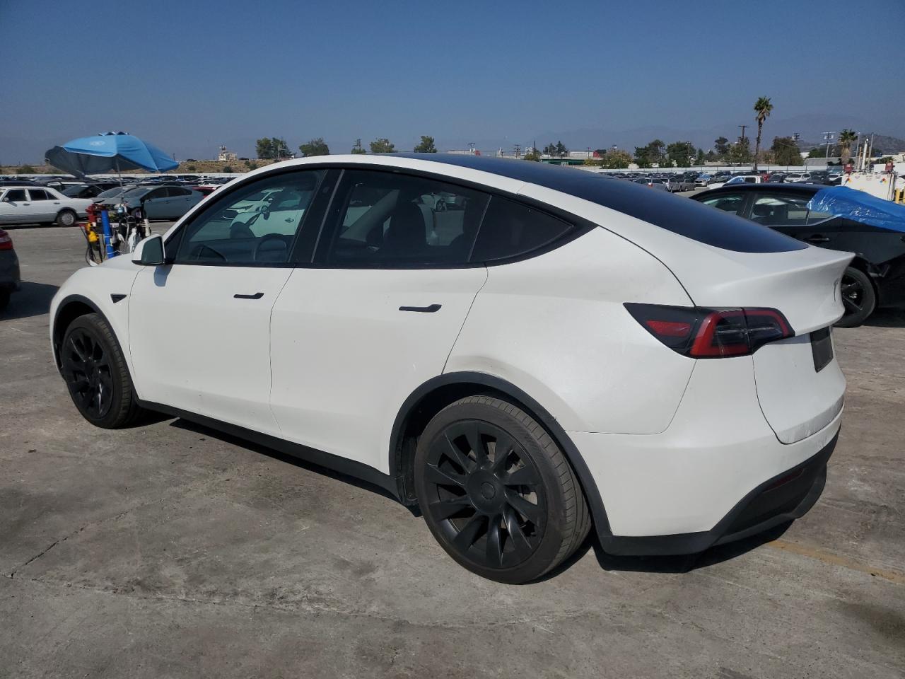 Lot #3308645499 2023 TESLA MODEL Y