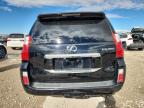 Lot #3304157460 2012 LEXUS GX 460