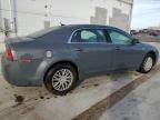 Lot #3316916109 2008 CHEVROLET MALIBU LS