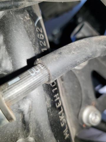 2024 KAWASAKI KL650 H ML5KLEH10RDA31262