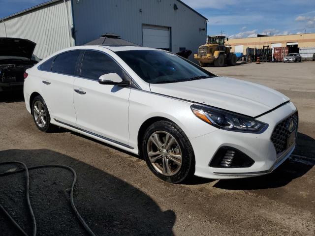 2019 HYUNDAI SONATA LIM 5NPE34AF5KH756341