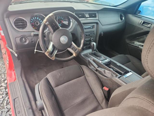 2013 FORD MUSTANG - 1ZVBP8EMXD5203966