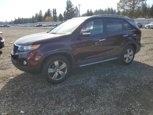 2013 KIA SORENTO EX #3285575298