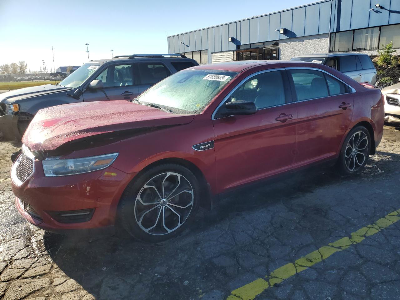 FORD TAURUS SHO