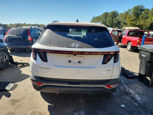 2023 HYUNDAI TUCSON SEL - 5NMJBCAE6PH242960